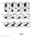 Fig. 04 - IMMUNOTHERAPY OF AUTOIMMUNE DISORDERS