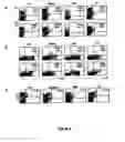 Fig. 05 - IMMUNOTHERAPY OF AUTOIMMUNE DISORDERS