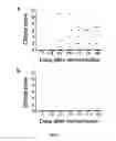Fig. 06 - IMMUNOTHERAPY OF AUTOIMMUNE DISORDERS