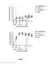 Fig. 08 - IMMUNOTHERAPY OF AUTOIMMUNE DISORDERS
