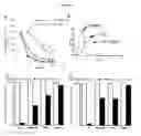 Fig. 02 - Adenosine receptor agonists and antagonists to modulate T cell responses
