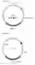 Fig. 02 - VIRAL RECOMBINEERING AND USES THEREOF