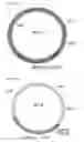Fig. 03 - VIRAL RECOMBINEERING AND USES THEREOF