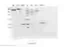 Fig. 16 - PROTEASE INHIBITOR