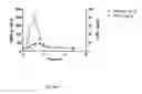 Fig. 06 - S-ADENOSYLMETHIONINE FORMULATIONS WITH ENHANCED BIOAVAILABILITY