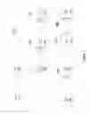 Fig. 02 - MULTI-TUBE EXTRUSION APPARATUS AND METHOD