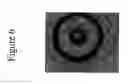 Fig. 07 - Device and method for organic vapor jet deposition