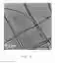Fig. 07 - Method for preparing transmission electron microscope sample