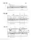 Fig. 06 - Organic electroluminescence display device