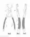 Fig. 04 - DENTAL PLIERS WITH ADJUSTABLE BUMPER