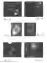 Fig. 02 - METHODS AND SYSTEMS FOR IDENTIFYING AND ISOLATING STEM CELLS AND FOR OBSERVING MITOCHONDRIAL STRUCTURE AND DISTRIBUTION IN LIVING CELLS