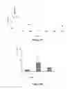 Fig. 07 - Hybridization Quantitation Method for Modified Micro-RNA and -DNA Based Oligonucleotides