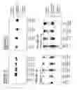 Fig. 04 - Methods and kits for separation and detection of proteins in biological samples