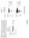 Fig. 07 - Methods and kits for separation and detection of proteins in biological samples