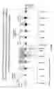 Fig. 08 - Methods and kits for separation and detection of proteins in biological samples