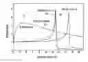 Fig. 01 - Phantom for the experimental in-vitro validation of radiation procedures under the influence of motion, taking into account the biological effective dose