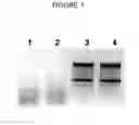 Fig. 02 - SAMPLE STABILIZATION