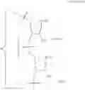 Fig. 09 - Methods and Compositions for Treating Neurological Disease