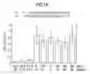 Fig. 33 - RNA interference mediating small RNA molecules