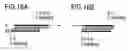Fig. 35 - RNA interference mediating small RNA molecules