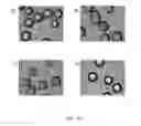Fig. 07 - Synthetic microcarriers for culturing cells