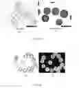 Fig. 09 - Synthetic microcarriers for culturing cells