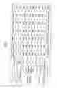 Fig. 07 - HIGH LOAD DRIVE V-BELT