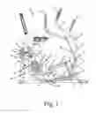 Fig. 02 - Seated exercise apparatus