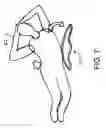 Fig. 08 - Compact and light multi-exercise device providing hyperextension and instability in all directions