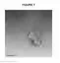 Fig. 02 - Carbon nanotube binding peptides