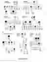Fig. 03 - DETECTION OF MUTATIONS IN ACTA2 AND MYH11 FOR ASSESSING RISK OF VASCULAR DISEASE