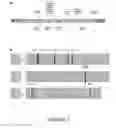 Fig. 05 - DETECTION OF MUTATIONS IN ACTA2 AND MYH11 FOR ASSESSING RISK OF VASCULAR DISEASE
