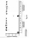 Fig. 06 - SIGNATURES OF RADIATION RESPONSE