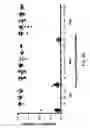 Fig. 08 - SIGNATURES OF RADIATION RESPONSE