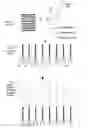 Fig. 01 - POLYNUCLEOTIDE ANALYSIS USING COMBINATORIAL PCR