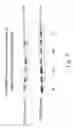 Fig. 08 - Endothelial monocyte activation polypeptide II, a biomarker for use in diagnosis and treatment of brain injury