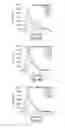 Fig. 07 - RAP variants for drug delivery and methods of use thereof