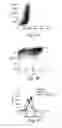Fig. 08 - RAP variants for drug delivery and methods of use thereof