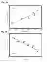Fig. 09 - Antimicrobial peptides