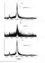 Fig. 06 - Double-stranded polyethylene glycol modified growth hormone, preparation method and application thereof