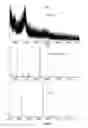 Fig. 09 - Double-stranded polyethylene glycol modified growth hormone, preparation method and application thereof