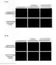 Fig. 06 -  DIAGNOSTIC MOLECULE AND THERAPEUTIC TARGET