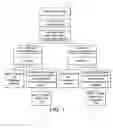 Fig. 02 - Nutritional compositions for promotion of bone growth and maintenance of bone health comprising extracts of for example rosemary or caraway