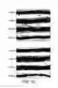 Fig. 06 - Nutritional compositions for promotion of bone growth and maintenance of bone health comprising extracts of for example rosemary or caraway