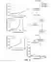 Fig. 07 - Nutritional compositions for promotion of bone growth and maintenance of bone health comprising extracts of for example rosemary or caraway