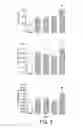 Fig. 08 - Nutritional compositions for promotion of bone growth and maintenance of bone health comprising extracts of for example rosemary or caraway
