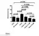 Fig. 02 - USE OF CYCLODEXTRIN FOR TREATMENT AND PREVENTION OF BRONCHIAL INFLAMMATORY DISEASES
