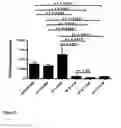 Fig. 06 - USE OF CYCLODEXTRIN FOR TREATMENT AND PREVENTION OF BRONCHIAL INFLAMMATORY DISEASES