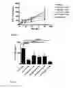 Fig. 09 - USE OF CYCLODEXTRIN FOR TREATMENT AND PREVENTION OF BRONCHIAL INFLAMMATORY DISEASES