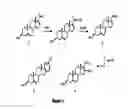 Fig. 02 - Simultaneous method for the preparation of a mixture of 3-acetoxy-17-acetamido-16-formyl-androst-5,17-diene and 3-acetoxy-2'-chloro-5-androsteno[17,16-b]pyridine